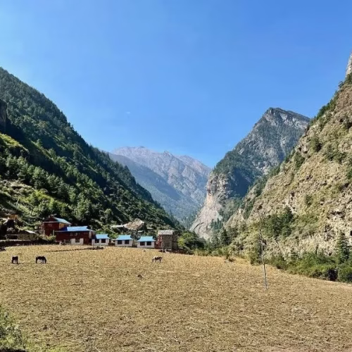 Deng Around Manaslu Trek