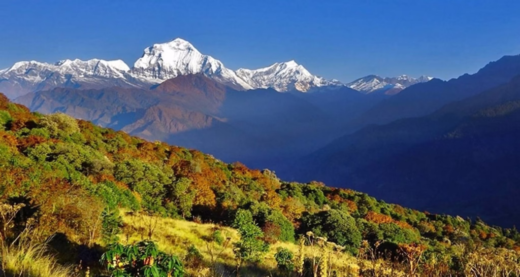 this is th epicture of poon hill trek