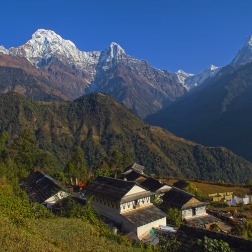 Annapurna Comfort Trek